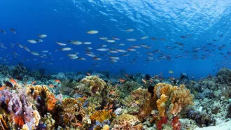 🕌 ZAGA EGYPT STYLE 4 tappe- Abito tipico + Moscha bianca + Moschea al-Mustafa + bazar + Soho Square